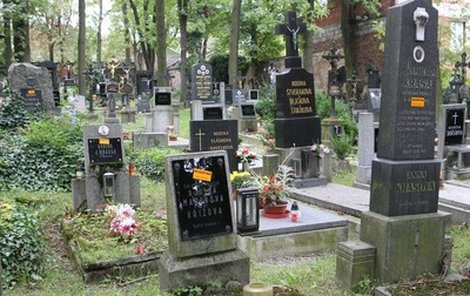 Štítky zůstanou na hrobech až do konce října. Pak nebožtíky čeká obecní hrobka.
