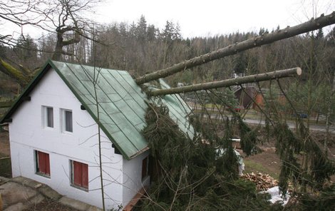 Stoleté smrky povalila vichřice na domek ve středočeské obci Kamenice. Majitelé měli štěstí, že se právě nacházeli v přízemí