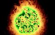 Takhle vypadá virus žloutenky.