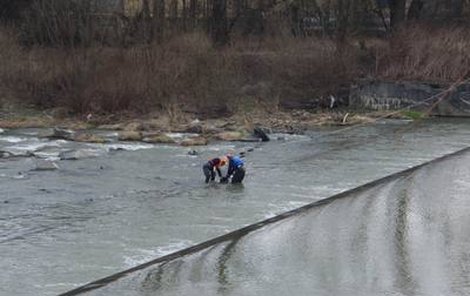 Tělo jednoho z dvou utonulých mladíků našli záchranářiv Olši až včera ráno za mostem, spojujícím obec Chotěbuza Polsko.