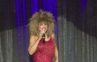 Tina Turner se po rozchodu dokázala postavit na vlastní nohy a vybudovat si hvězdnou kariéru.