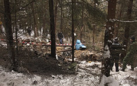 Trosky letounu nacházeli vyšetřovatelé po celém lese kousek za česko-německými hranicemi.