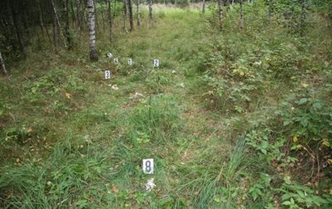 V těchto místech nedaleko silnice na Kladenské Rovné našli houbaři mrtvolku dítěte.