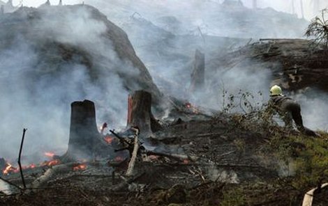 V těžko přístupném terénu hořelo zhruba dvacet hektarů lesa. Rozloha parku, který se táhne podél hranic s Německem, je cca 7500 hektarů. 