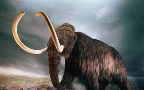 Vědci se pokoušejí oživit mamuty!
