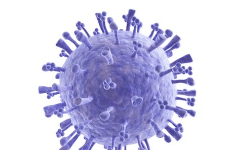 Virus prasečí chřipky