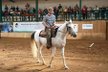 Matěj Hádek je koňákem už od dětských let a nenechá si ujít žádnou jezdeckou soutěž