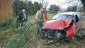 Šipka ukazuje, kudy auto, jedoucí po silnici, prorazilo plot, přerazilo sedm stromů a přeletělo zahradou. Josef Dvořák (vpravo) a Pavel Pěchouček odklízejí zničenou borovici.