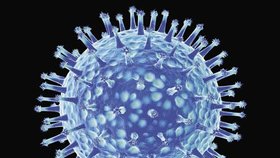 Smrtící virus ptačí chřipky H5N1