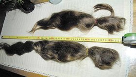 Kaštanově zbarvené vlasy, které nabízí paní Hana k prodeji, jsou přes 80 centimetrů dlouhé. O něco kratší ohon nabízí i její dcera.