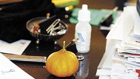 Mandarinka, kterou vypěstoval prezidentův mluvčí Petr Hájek na své chalupě na Šumavě. Klaus se ji neodvážil sníst.