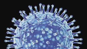 Virus ptačí chřipky pod mikroskopem.