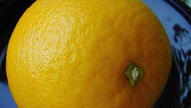 ilustrační foto - pomeranč