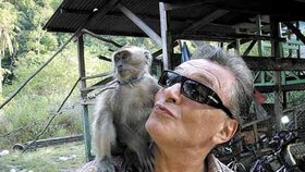 Dá se předpokládat, že i v Jižní Americe budou Karla obšťastňovat roztomilé opičky
