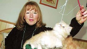 Chovatelka Eva Doležalová se marně snažila udržet koťata pohromadě