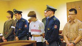 Trojice učňů včera vyslechla tresty za loupežnou vraždu důchodce (69)