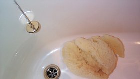 Vědci vynalezli samočistící koupelnu 