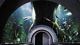 Obří akvárium v Hradci Králové