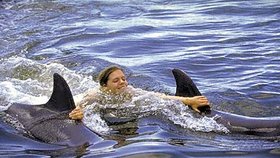 Delfíní terapie je obrovskou nadějí pro všechny nemocné