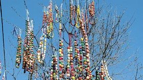 Vyfouknutá malovaná vejce na stužkách věšeli Nahořanští zhruba půldruhé hodiny, až jich na stromě bylo 12913