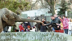 Bělehradská zoo