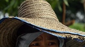 Ilustrační foto - thajský farmář