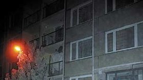 Tragický požár si vyžádal tři mrtvé v bytě, čtvrtá oběť vyskočila z 11. patra