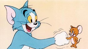Kocour Tom a myšák Jerry: Tyhle rošťáky a jejich nekonečné bitky zná snad každé dítě na celém světě