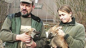 Ošetřovatelé  plzeňské zoo drží v náručí Emila a Edu, Erička focení odmítla