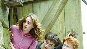 S kým by Harry bojoval proti zlu,
kdyby přišel o Hermionu?