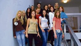 O titul v 15. ročníku Miss Reneta, který se uskuteční v pátek v DK Leoše Janáčka, se uchází deset studentek středních škol z Česka a dvě ze Slovenska