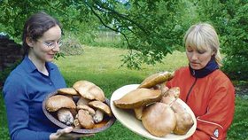 Radka Macháčková (vpravo) šla se svými kamarádkami na procházku se psem a vrátila se domů s tímhle houbařským úlovkem