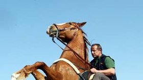 Někdejší kaskadér Pavel Vokoun se svým nejlepším koněm a velkou filmovou hvězdou, Sagarem...