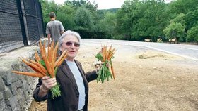 Svazek chutné mrkve přinesl
svému kmotřenci Lomaxovi
herec Ladislav Mrkvička