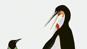 Dávný tučňák (vpravo) byl proti těm dnešním obr