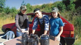 Cvikov - Děti prodávaly pracně nasbírané borůvky z lesů u Cvikova na Českolipsku
