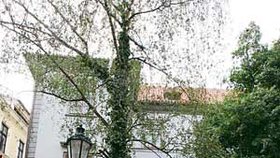 Dům pánů
z Kunštátu
je jedním
z nejstarších
historických
objektů v centru
Prahy