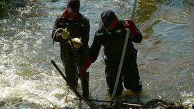Mrtvé ryby sbírali v řece
hasiči