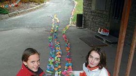 Dívky z náchodské Základní školy Plhov přispěly k vytvoření ocasu výrobou asi deseti metrů a pomáhaly při vázání jeho jednotlivých dílů