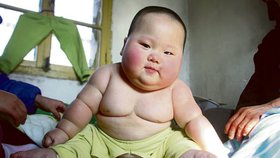 Obézní kluk připomíná panáčka Michelin a za chvíli spolkne celou rodinu