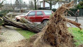 Vyvrácené stromy padaly na auta a zabíjely