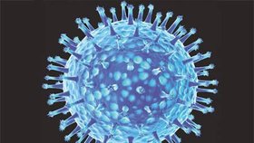 virus H5N1
