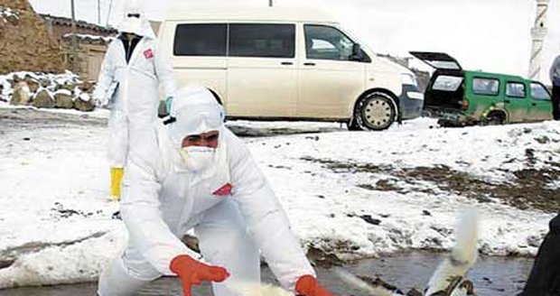 Pro Turecko je ptačí chřipka velkým problémem. Nakazilo se zde už zhruba dvacet lidí, čtyři děti zemřely.