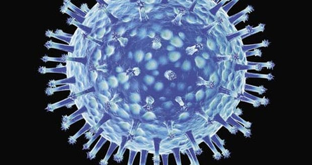 Virus H5N1, zvětšený rozhodně nevypadá jako smrtící hrozba...