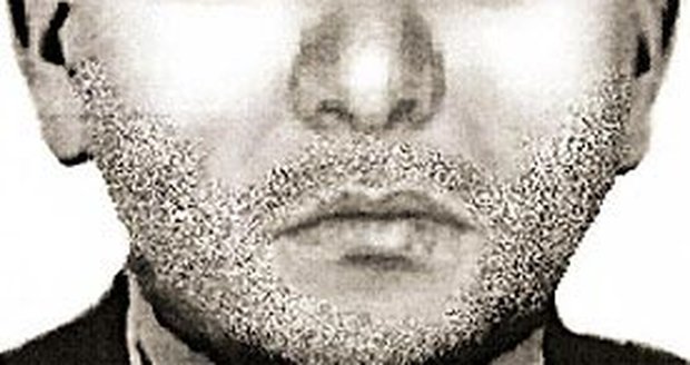 Pravděpodobným vrahem je muž, běloch (35 až 40). Je vysoký 185 až 190 cm. Vlasy má světle hnědé, střižené na ježka. Na tvářích má strniště. Mluví česky bez cizího přízvuku. Policisté očekávají případné informace na lince 1