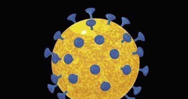 Virus HIV