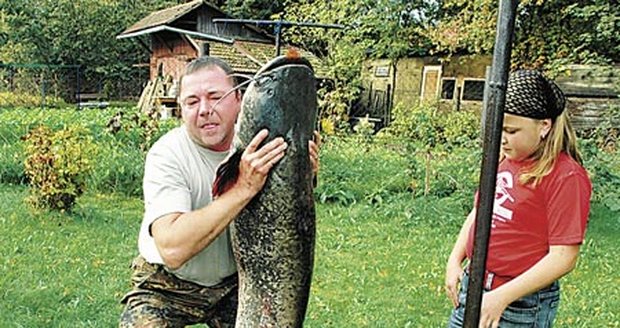 Olešná vydala kapitálního sumce, předcházel tomu hodinový boj.
