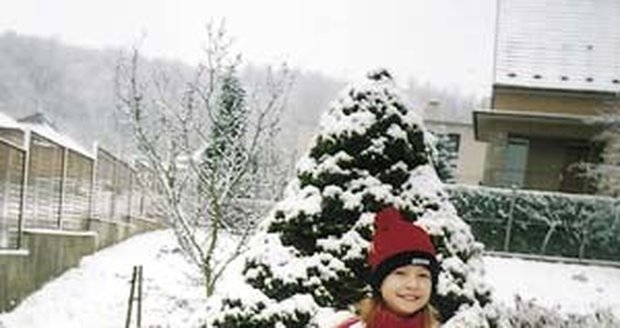 Když stromeček na dvoře pokryje sníh, je kouzlo Vánoc téměř dokonalé.