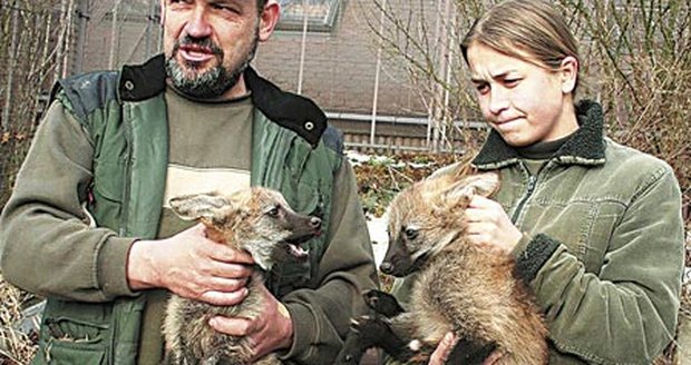 Ošetřovatelé plzeňské zoo drží v náručí Emila a Edu, Erička focení odmítla