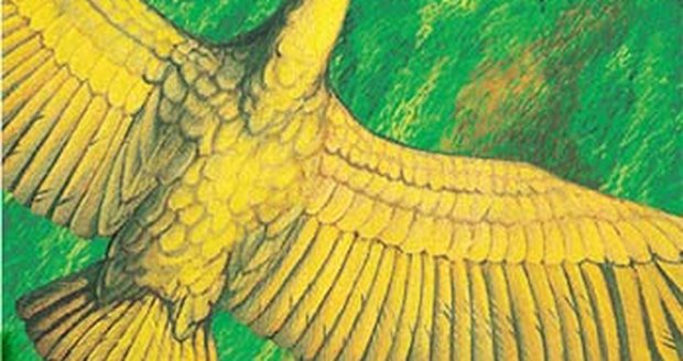 Argentavis magnificens